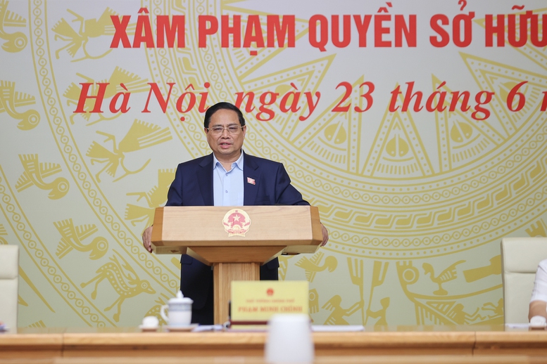 Thủ tướng: Tuyên chiến với hàng giả, quét sạch thuốc giả, thực phẩm giả- Ảnh 1.