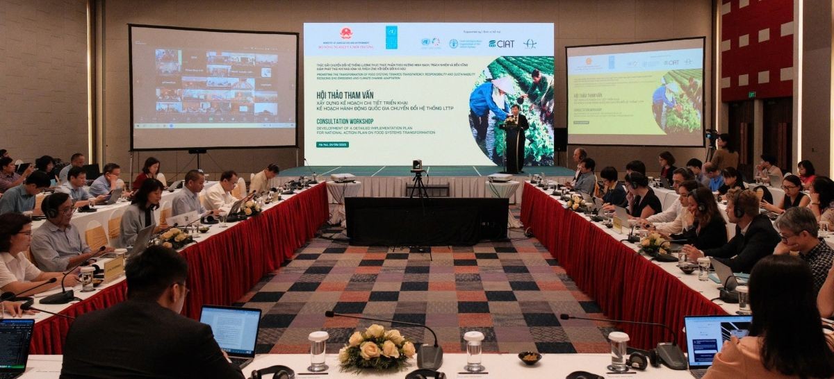 Việt Nam tham vấn xây dựng Kế hoạch chi tiết về chuyển đổi hệ thống lương thực thực phẩm đến năm 2030