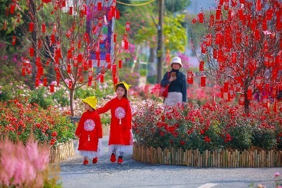 Home Hanoi Xuan: Hành trình nửa thập kỷ tôn vinh Tết Việt