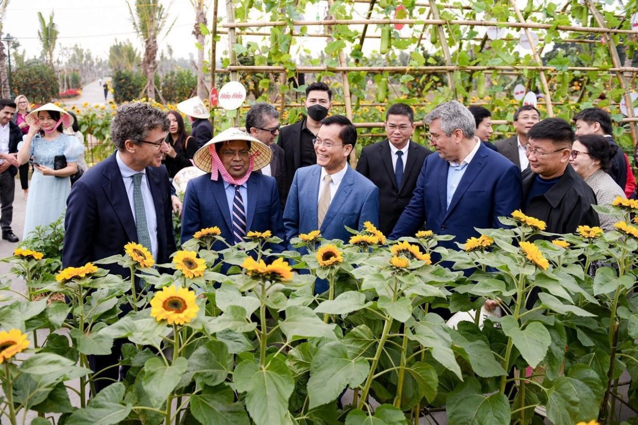 Home Hanoi Xuan: Hành trình nửa thập kỷ tôn vinh Tết Việt