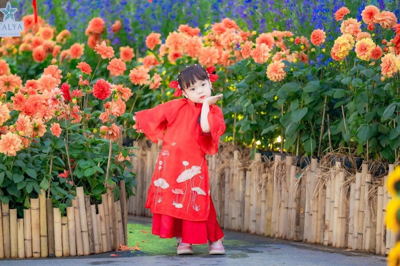 Home Hanoi Xuan 2025 - Rộn ràng sắc xuân với tà áo dài truyền thống