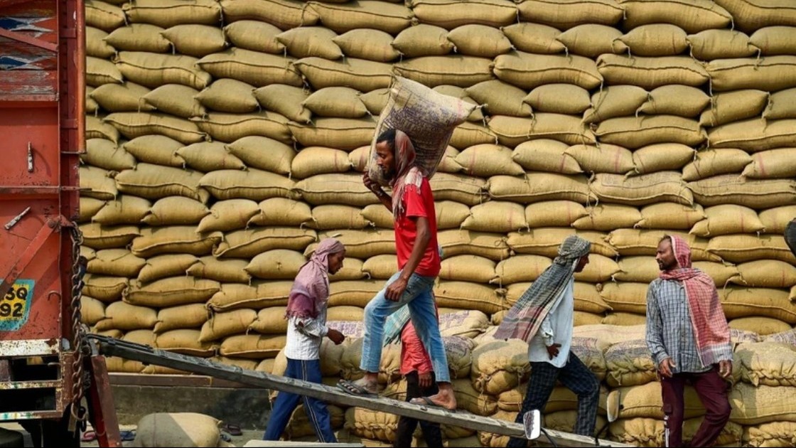 Thị trường nông sản: Gạo Ấn Độ tăng giá bất chấp sóng giảm toàn thị trường