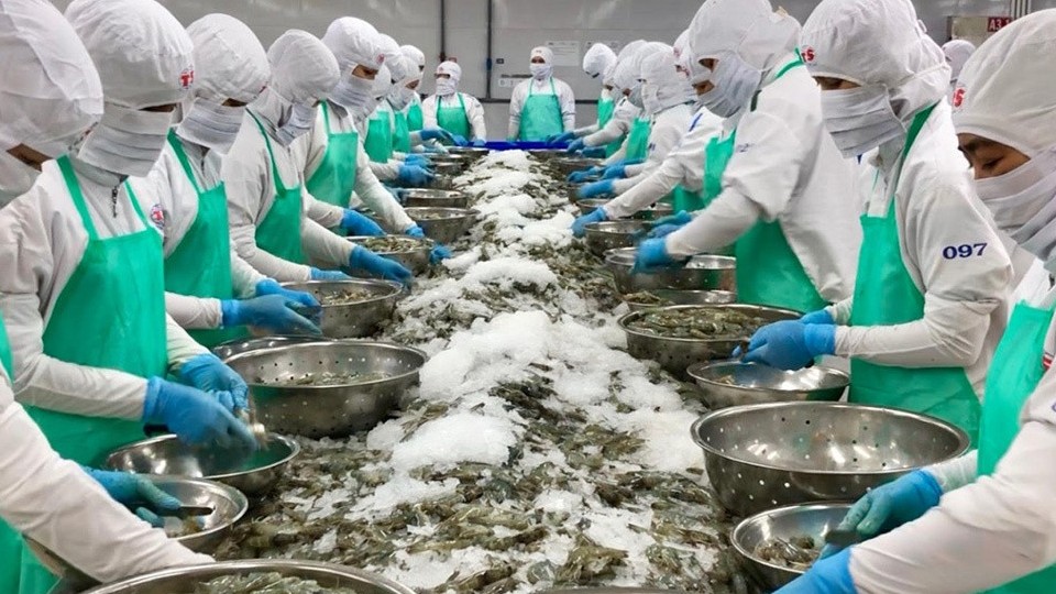 Xuất khẩu thủy sản cần đạt 5,4 tỷ USD trong 6 tháng cuối năm