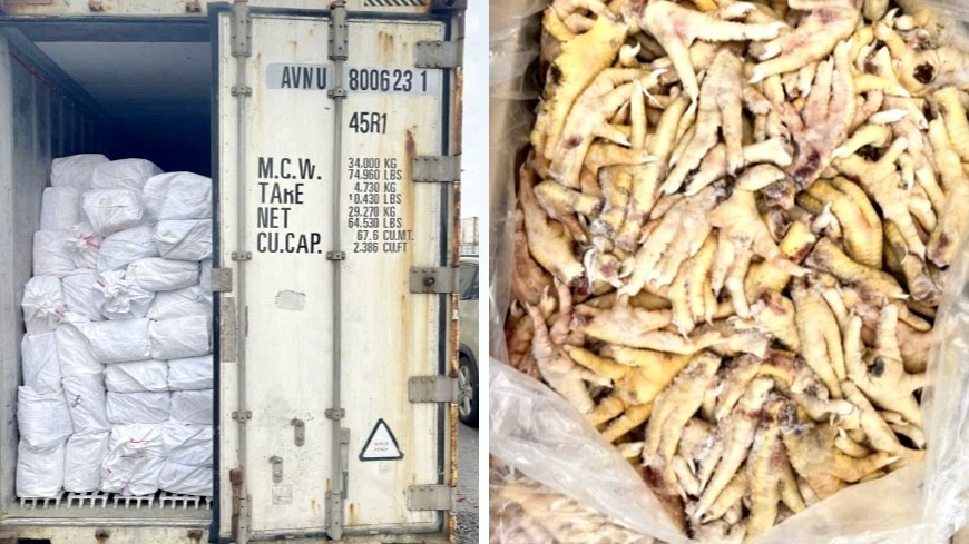 Hải quan khởi tố vụ án trốn thuế 7 tỷ đồng, xuất khống 1.400 tấn chân gà đông lạnh