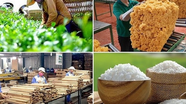 Việt Nam thu hơn 33,8 tỷ USD từ xuất khẩu nông - lâm - thủy sản trong nửa đầu năm 2025