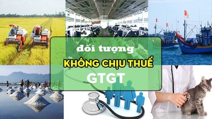 Chính phủ quy định 16 đối tượng không chịu thuế theo Luật Thuế giá trị gia tăng