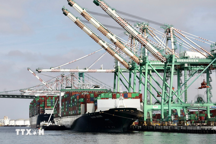 Mỹ bắt đầu thông báo thuế quan với các nước, mức tiềm năng thấp nhất 20% Quang cảnh cảng hàng hóa Long Beach ở California, Mỹ. (Ảnh: THX/TTXVN)