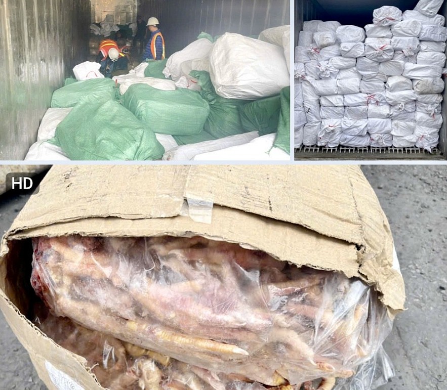 Hải quan khởi tố và kiến nghị khởi tố 62 vụ án