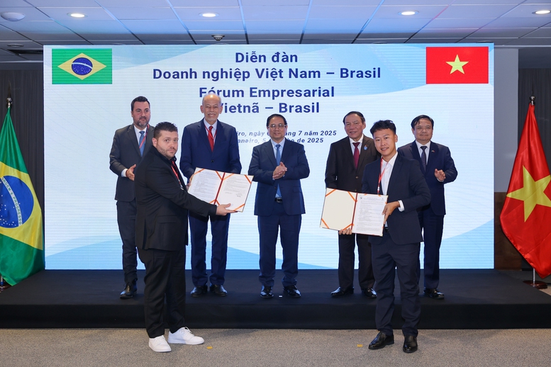 Thủ tướng kêu gọi doanh nghiệp Việt Nam – Brazil hiện thực hóa hàng loạt định hướng mới trong hợp tác kinh tế- Ảnh 7.
