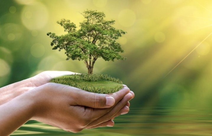 Danh mục Phân loại Xanh góp phần hoàn thiện hệ sinh thái tài chính xanh tại Việt Nam