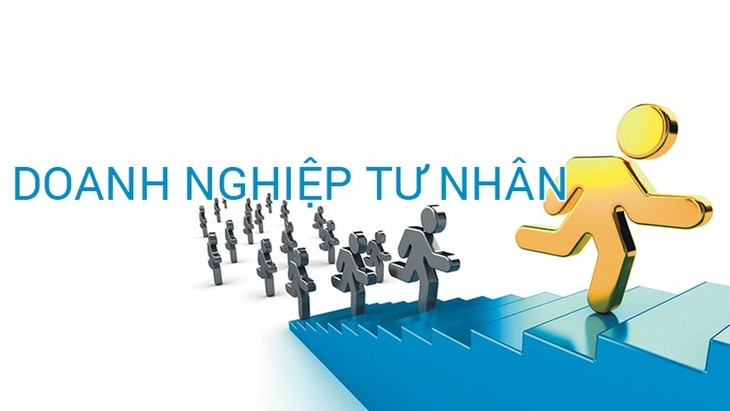 Việt Nam cần nhiều hơn các doanh nghiệp tư nhân chất lượng để chu kỳ tăng trưởng mới “đơm bông, kết trái”