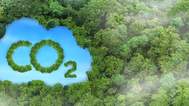 Cơ hội huy động nguồn lực tài chính cho công tác bảo vệ và phát triển rừng