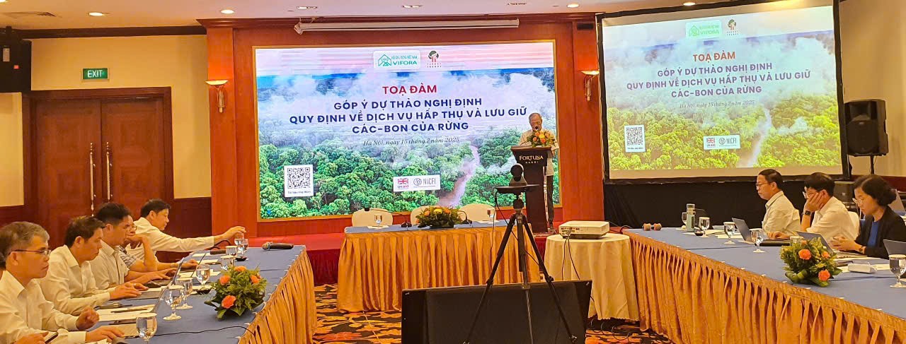 Cơ hội huy động nguồn lực tài chính cho công tác bảo vệ và phát triển rừng