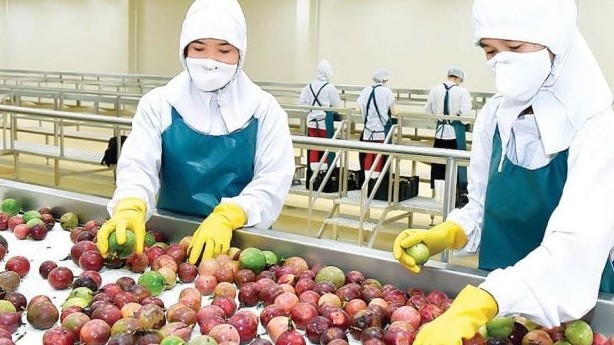 Hiến kế thúc đẩy tiềm năng xuất khẩu chanh leo, dứa, dừa và chuối