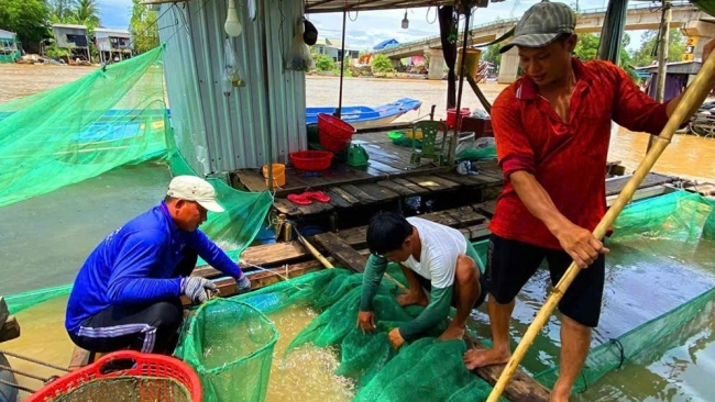 Tín dụng ngân hàng Khu vực 15 sắp chạm mốc 400 nghìn tỷ đồng, tạo lực đẩy cho tăng trưởng