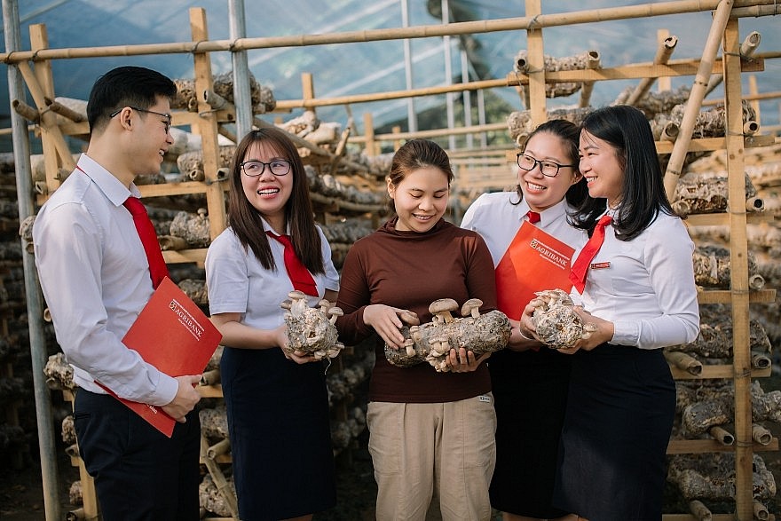 Agribank tích cực hỗ trợ hộ kinh doanh chuyển đổi thành doanh nghiệp Agribank tích cực hỗ trợ hộ kinh doanh chuyển đổi thành doanh nghiệp