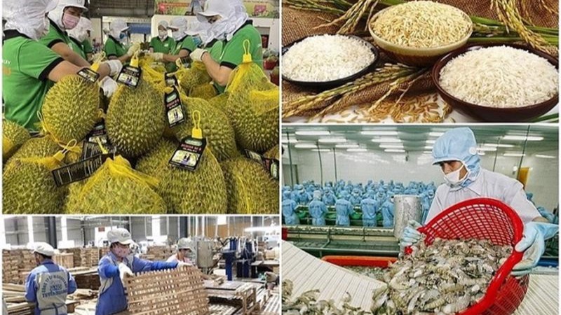 Ngành Nông nghiệp và Môi trường ghi nhận những con số tăng trưởng tích cực