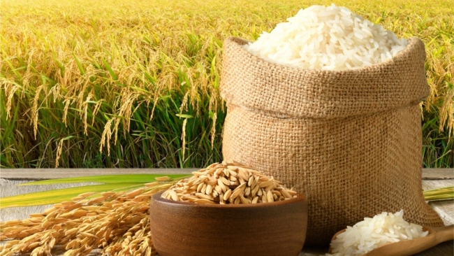 Ngày 28/7: Giá lúa gạo tại Đồng bằng sông Cửu Long đi ngang sáng đầu tuần