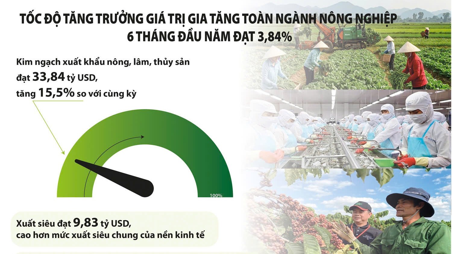 Xuất khẩu nông sản tìm dư địa tăng trưởng