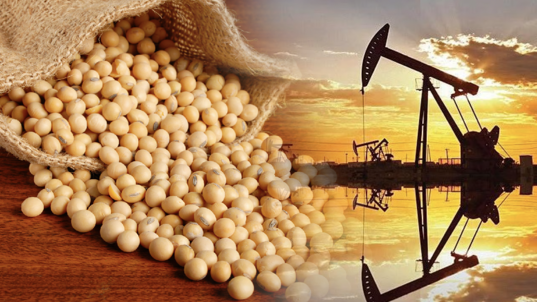 Thị trường hàng hóa: Giá đậu tương quay đầu tăng mạnh, dầu thô giảm nhẹ Thị trường hàng hóa: Giá đậu tương quay đầu tăng mạnh, dầu thô giảm nhẹ