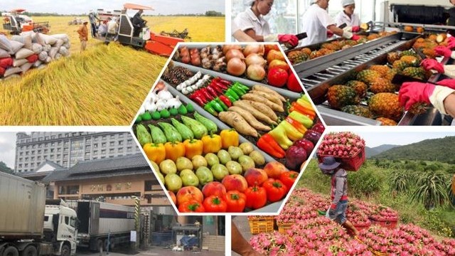 7 tháng, Việt Nam thu về gần 40 tỷ USD từ xuất khẩu nông lâm thủy sản