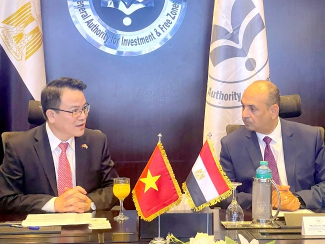 Thúc đẩy hợp tác kinh tế - đầu tư giữa Việt Nam và Ai Cập