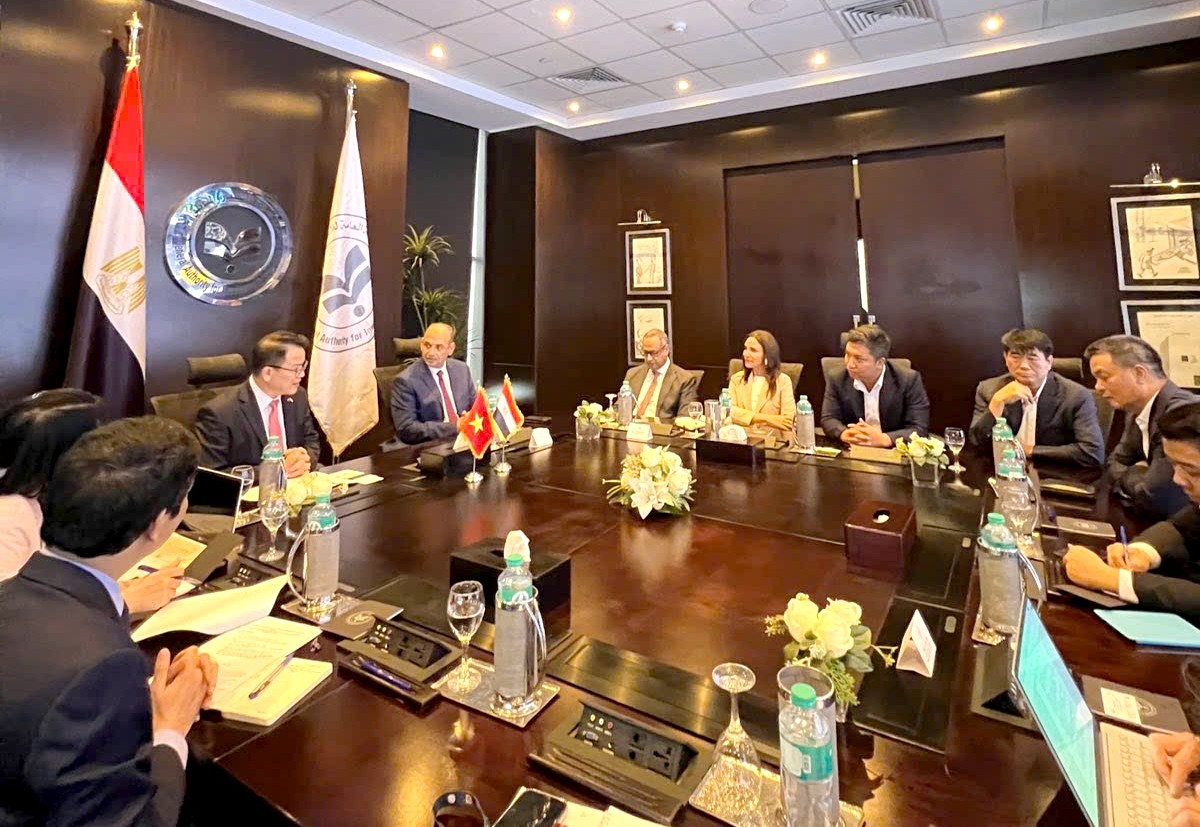 Thúc đẩy hợp tác kinh tế - đầu tư giữa Việt Nam và Ai Cập Thúc đẩy hợp tác kinh tế - đầu tư giữa Việt Nam và Ai Cập