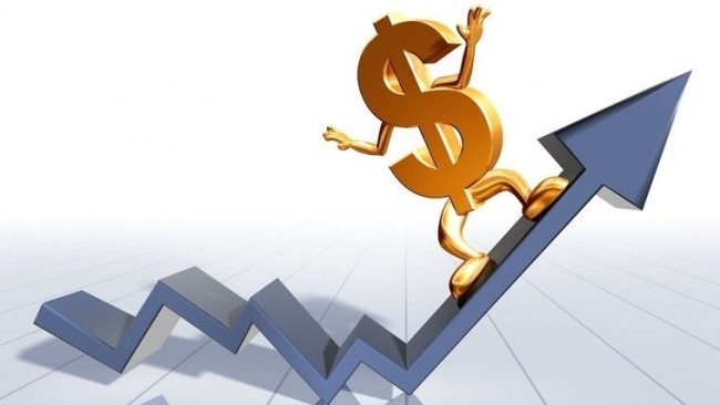 Tỷ giá chịu áp lực, Ngân hàng Nhà nước cân nhắc dừng giảm lãi suất