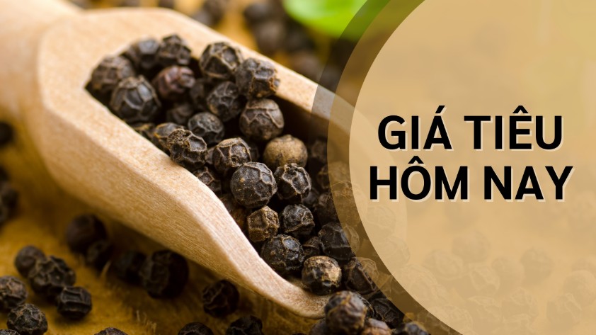 Ngày 8/8: Giá cà phê thế giới tăng, hồ tiêu neo cao ở mức 139.600 đồng/kg