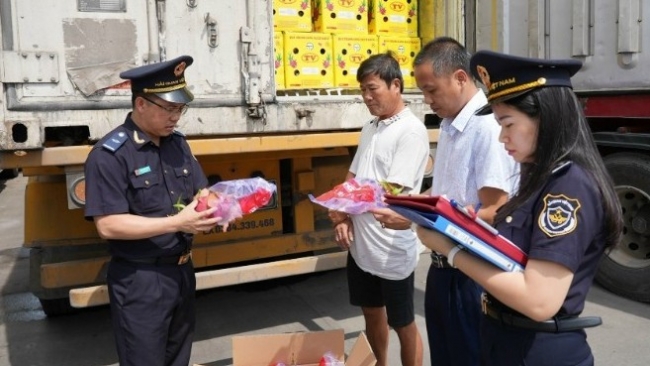 7 tháng 2025: Phát hiện, bắt giữ, xử lý 10.351 vụ vi phạm về hải quan