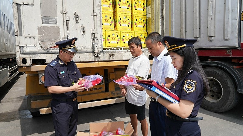 7 tháng 2025: Phát hiện, bắt giữ, xử lý 10.351 vụ vi phạm về hải quan