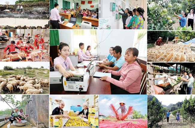 Xây dựng Đảng bộ Ngân hàng Chính sách xã hội Trung ương vững mạnh đồng hành cùng đất nước