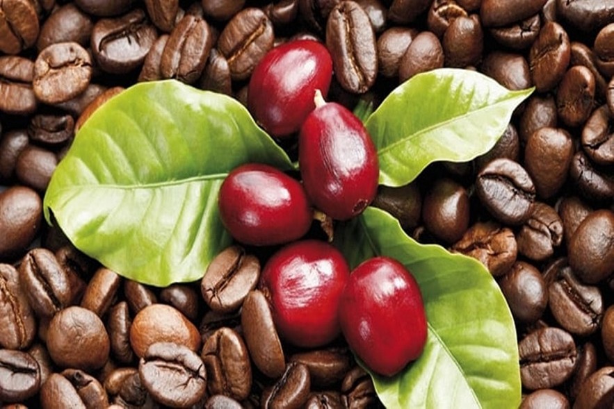 Ngày 10/8: Giá cà phê, hồ tiêu duy trì đà tăng Ngày 10/8: Giá cà phê, hồ tiêu duy trì đà tăng