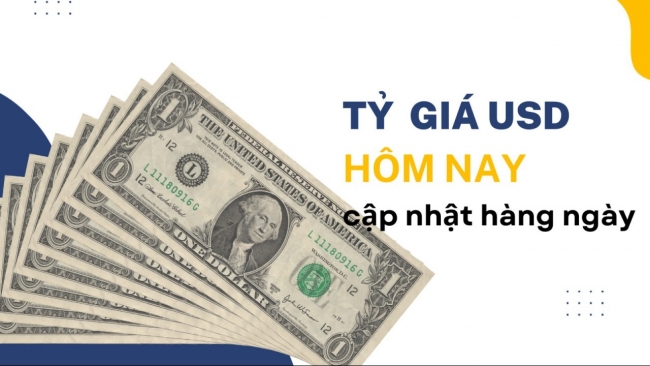 Tỷ giá USD hôm nay (11/8): Thế giới duy trì đà giảm, "chợ đen" giao dịch quanh mốc 26.398 - 26.478 đồng/USD