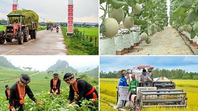 Giảm nghèo bền vững: Chú trọng phát triển sinh kế và nâng cao chất lượng sống cho người dân
