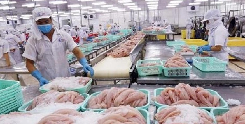 Xuất khẩu nông, lâm, thủy sản chủ động thích ứng với chính sách thuế quan của Hoa Kỳ Xuất khẩu nông, lâm, thủy sản chủ động thích ứng với chính sách thuế quan của Hoa Kỳ