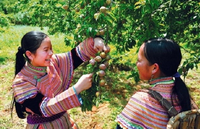 Sơn La: Thực hiện hiệu quả chính sách giảm nghèo bền vững
