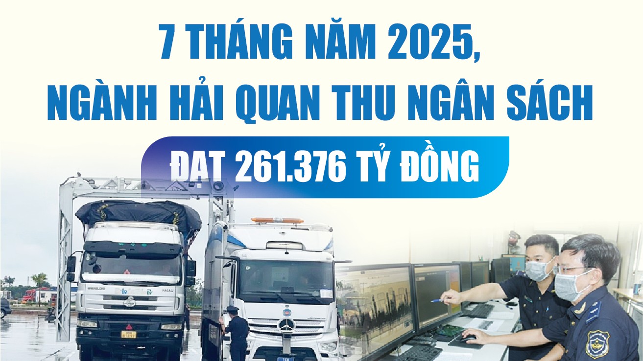 Infographics: Ngành Hải quan thu ngân sách 7 tháng đạt 261.376 tỷ đồng
