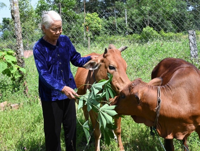 Hà Tĩnh: Tiếp tục triển khai phong trào thi đua “chung tay vì người nghèo"
