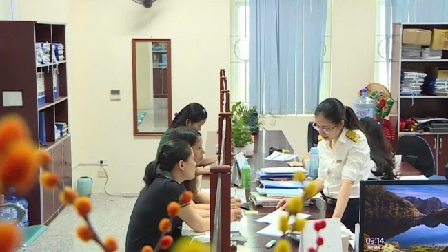 Thuế TP. Hải Phòng ổn định bộ máy, thu nội địa 7 tháng đạt hơn 66.000 tỷ đồng