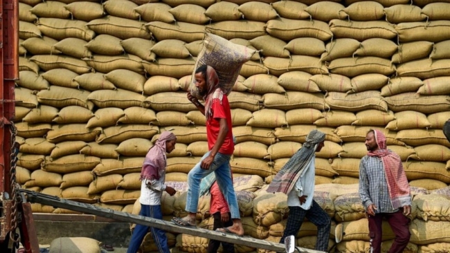 Thị trường nông sản tuần qua: Giá gạo Ấn Độ ở mức thấp, gạo Việt Nam ở mức 395 USD/tấn