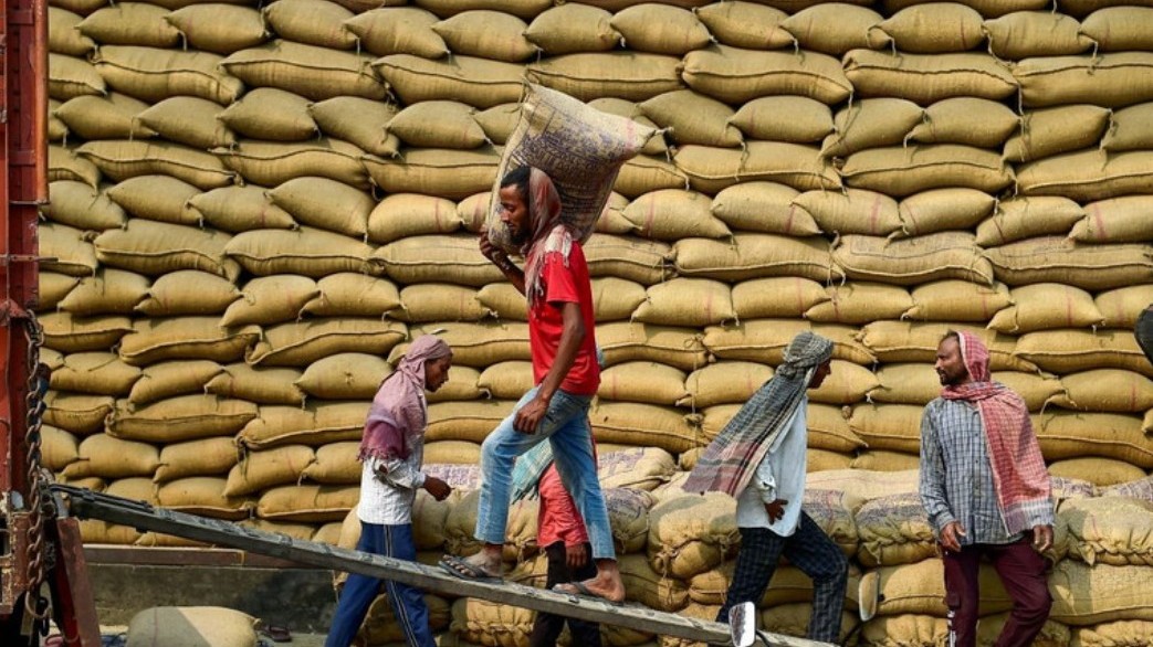 Thị trường nông sản tuần qua: Giá gạo Ấn Độ ở mức thấp, gạo Việt Nam ở mức 395 USD/tấn