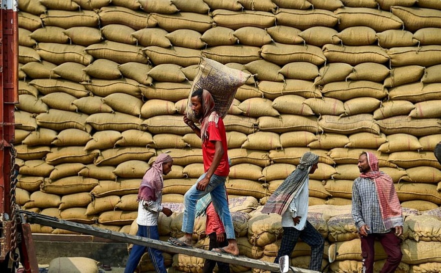 Thị trường nông sản tuần qua: Giá gạo Ấn Độ ở mức thấp, gạo Việt Nam ở mức 395 USD/tấn