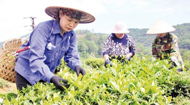 Lạng Sơn: Thành quả nỗ lực giảm nghèo bền vững