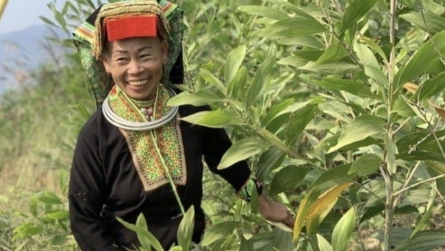 Hội Phụ nữ Lạng Sơn giúp hội viên phát triển sản xuất, giảm nghèo bền vững