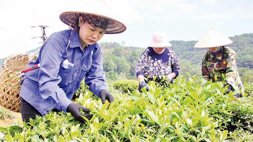 Lạng Sơn: Thành quả nỗ lực giảm nghèo bền vững