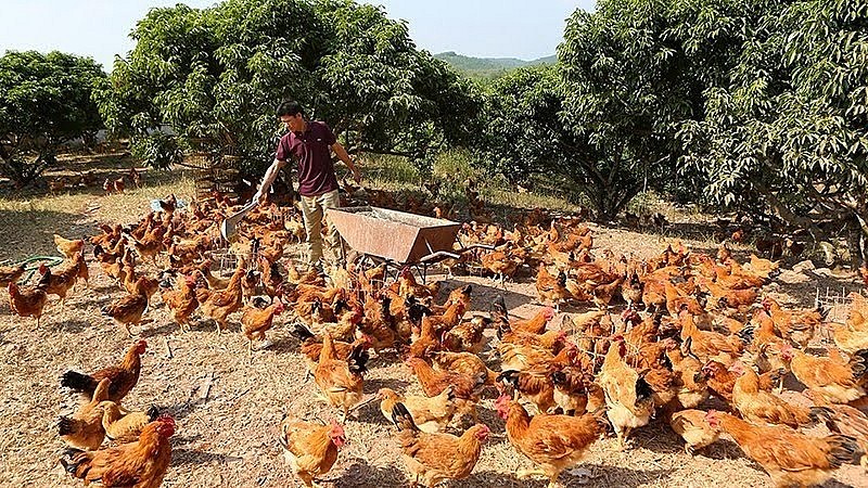 Lạng Sơn: Thành quả nỗ lực giảm nghèo bền vững