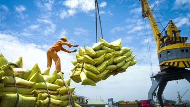 Ngày 21/8: Giá gạo xuất khẩu của Việt Nam tăng giảm trái chiều