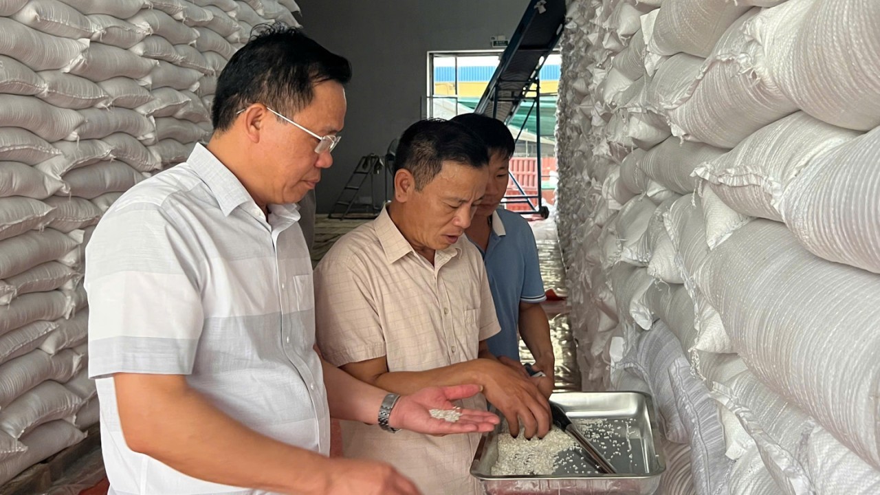 xuat cap gao vat tu thiet bi du tru quoc gia cho dien bien va son la khac phuc hau qua mua lu