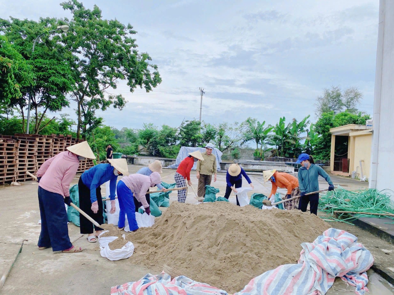 Các Chi cục Dự trữ Nhà nước khu vực chủ động ứng phó với bão số 5